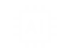 AMI-AI Solutions